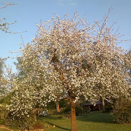 Pensión Les Marronniers