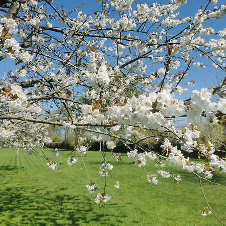 Pensión Les Marronniers Cambremer