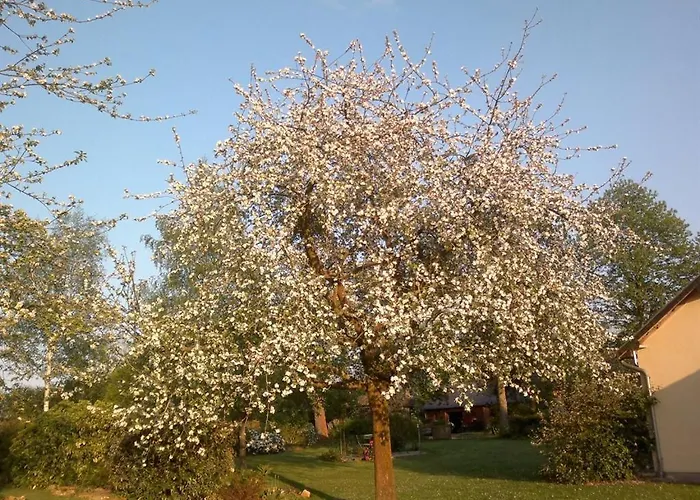 Guest house Domaine Les Marronniers