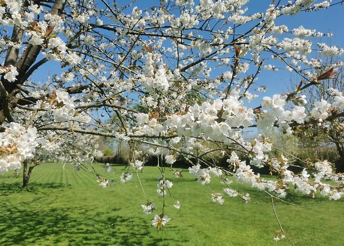 Gasthof Domaine Les Marronniers Cambremer